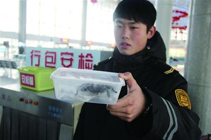 青島車站行李安檢機掃描發現毒蜘蛛[圖]