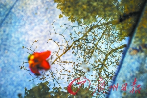 廣州墓園清明節祭祀活動需先過安檢關